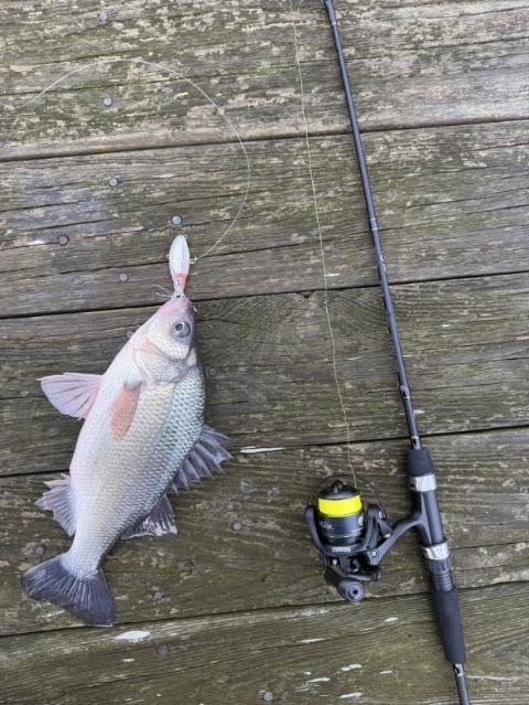 fishing