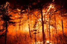 manchester+fire